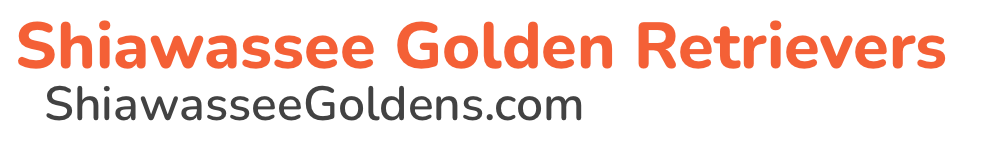 Shiawassee Golden Retrievers